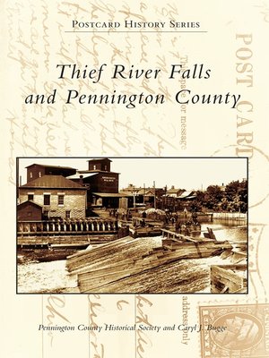 book review thief river falls